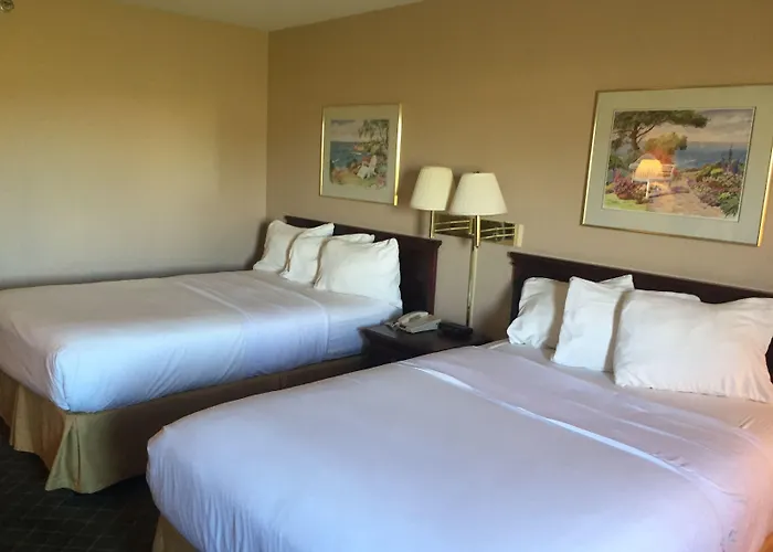 Motel Briarwood -