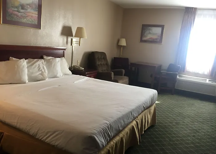 Motel Briarwood - 2*