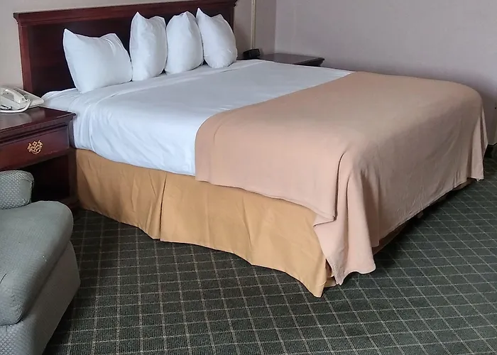 Motel Briarwood - 2*